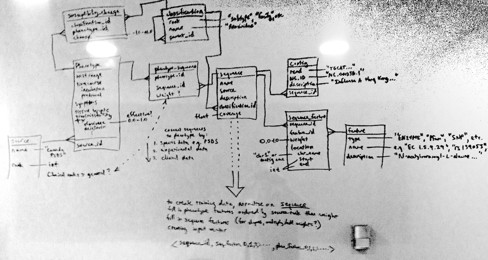 A relational data model for capturing pathogenic genotype-phenotype associations (apologies for cameraphone quality)